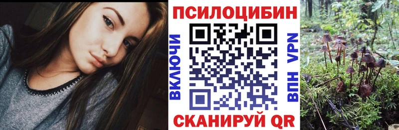 Псилоцибиновые грибы Psilocybine cubensis  Железногорск 